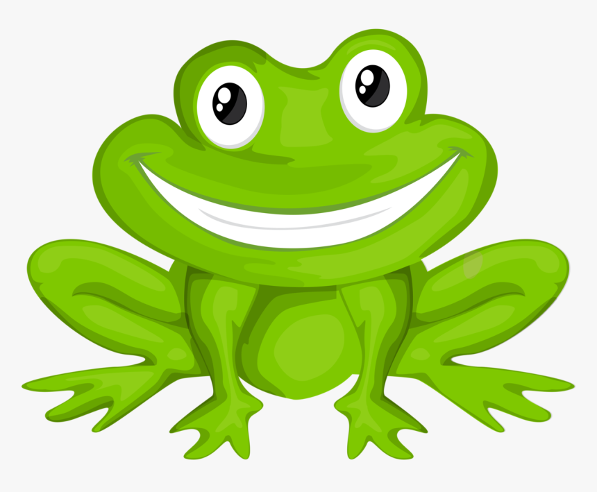 Green Frog Cartoon - Frog Sunglasses, HD Png Download, Free Download