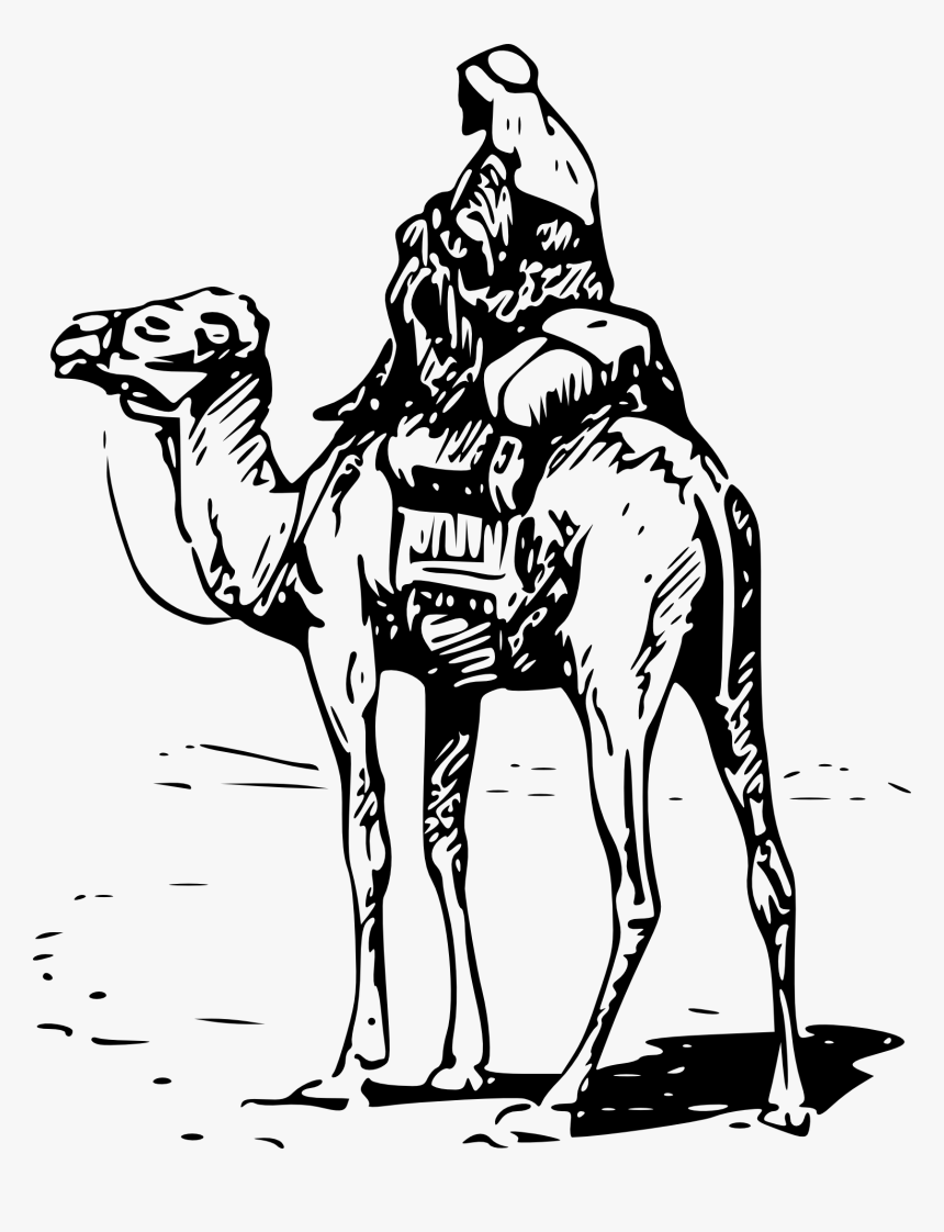 Camel With Rider Svg Clip Arts - Camel Clip Art, HD Png Download, Free Download