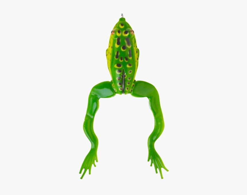 Jumping Frog Png Transparent Image - Frog Jumping Transparent, Png Download, Free Download