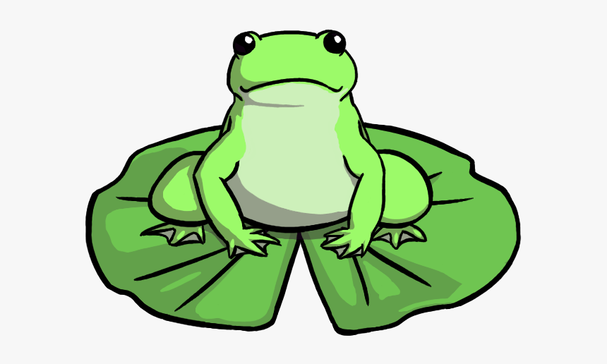 Drawing Of A Frog On A Lily Pad, HD Png Download, Free Download