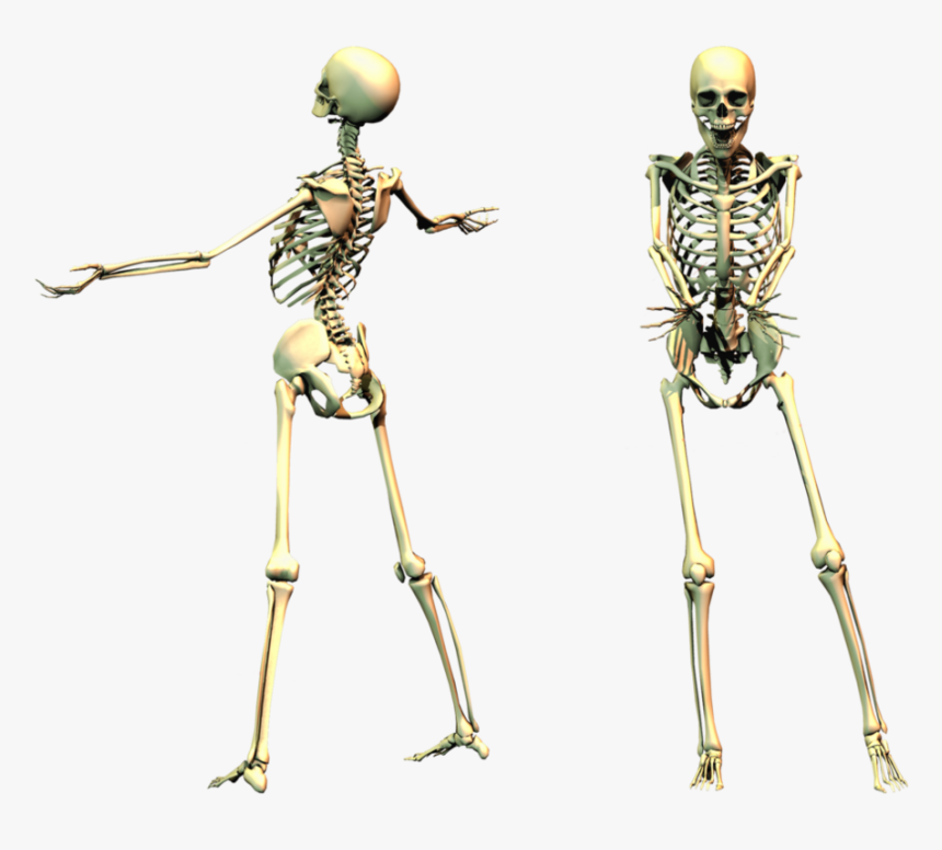 Spooky Skeleton Png Image - Spooky Skeleton Transparent, Png Download, Free Download