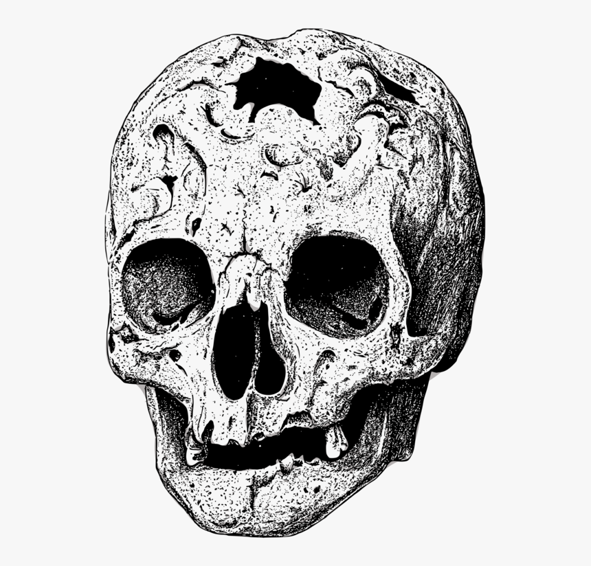 Head,skeleton,skull - Broken Skull Transparent Png, Png Download, Free Download