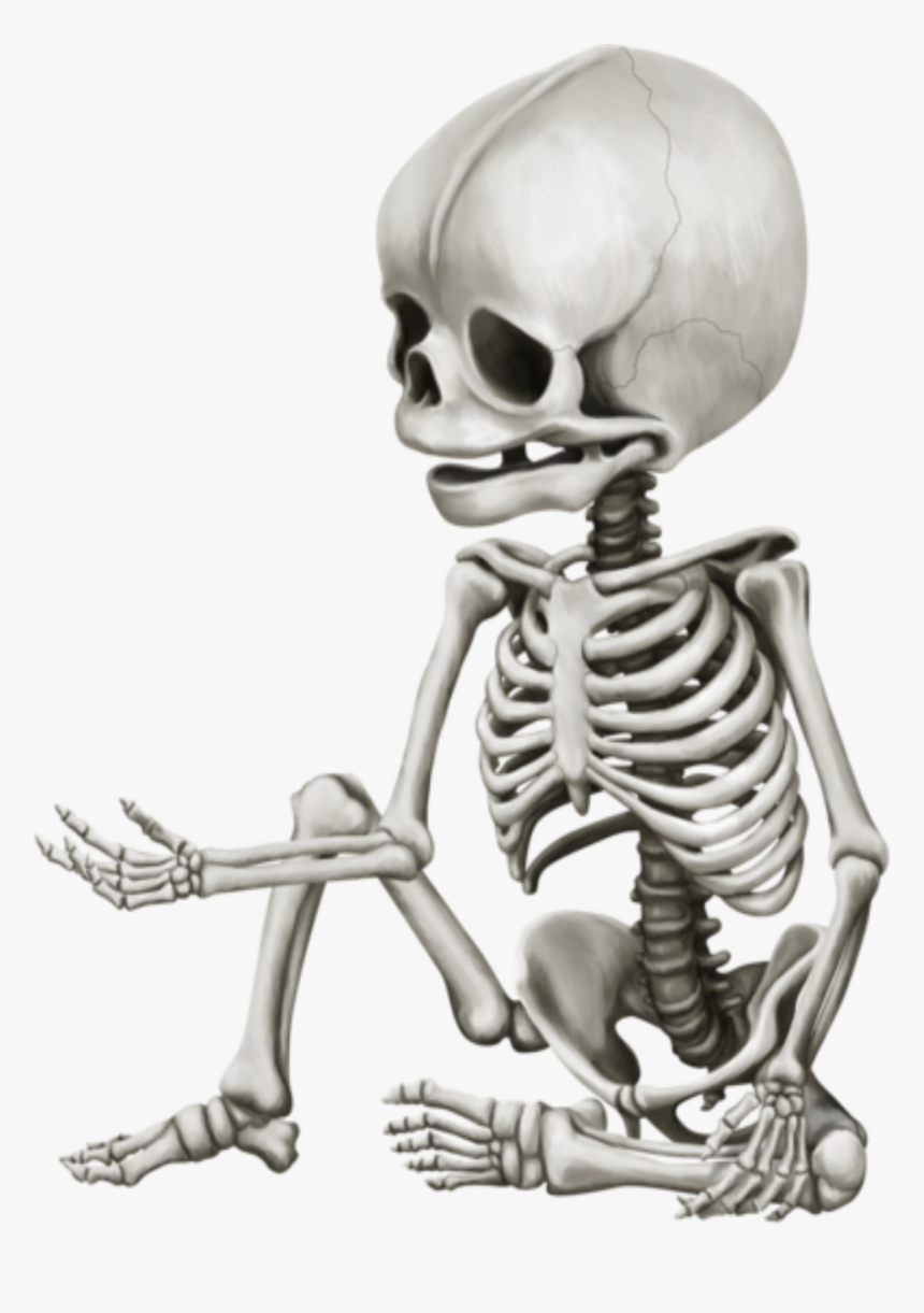 Infant Skeleton, HD Png Download, Free Download