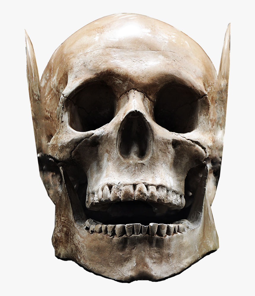 Skull Isolated Skull And Crossbones Free Picture - Skull, HD Png Download, Free Download