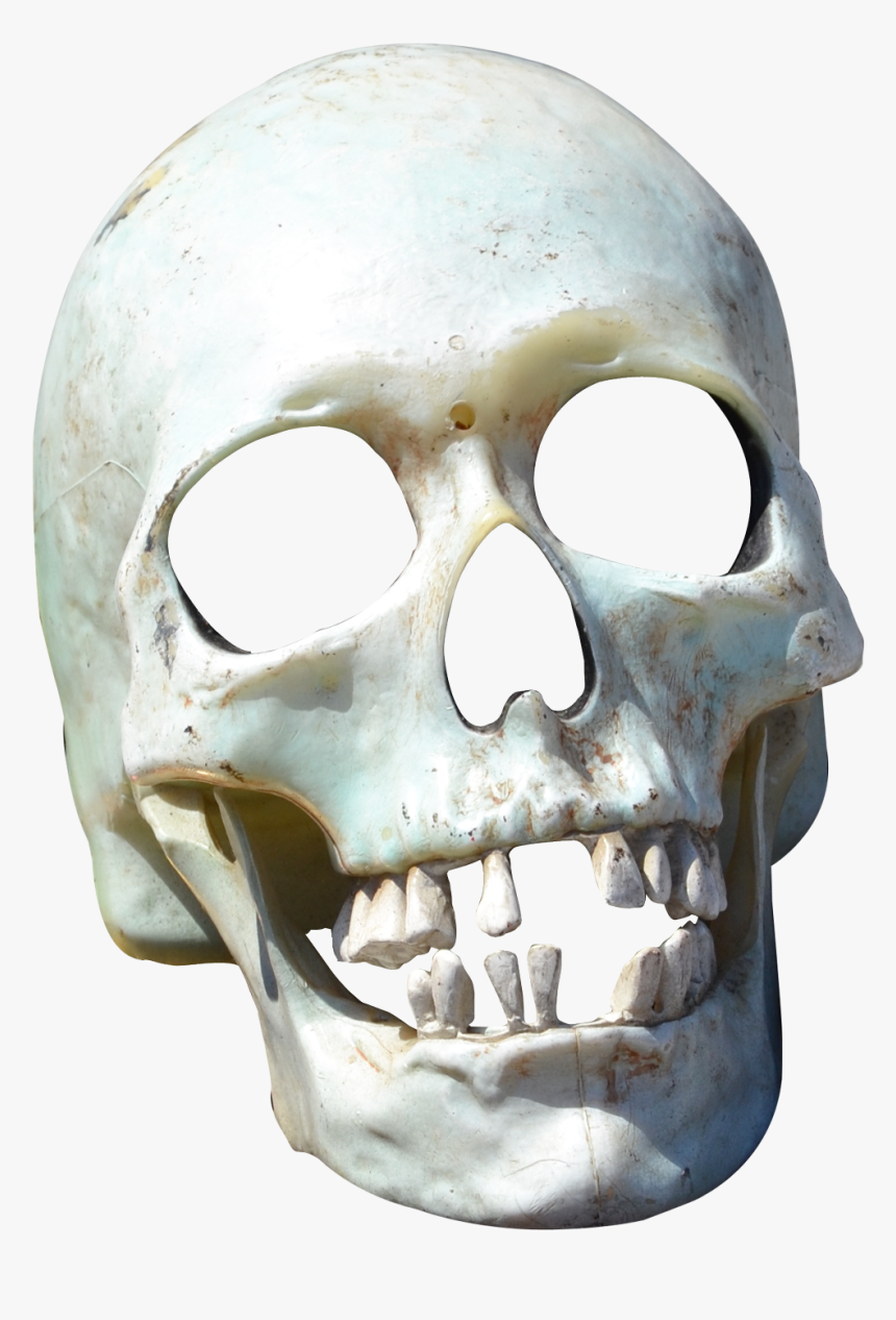 Skull Png Image Free Download - Transparent Skull Png, Png Download, Free Download