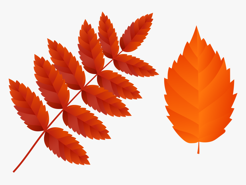 Orange Fall Leaves Clipart - Fall Leaf Png Illustration, Transparent Png, Free Download