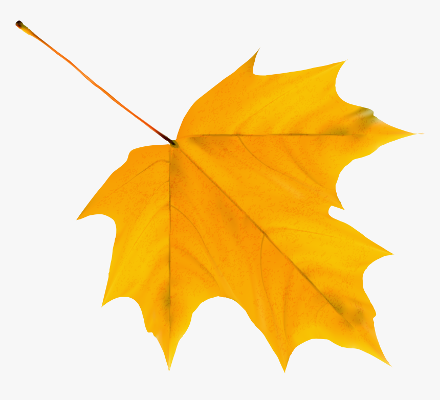 Autumn Leaves Clipart Red - Yellow Autumn Leaf Clipart, HD Png Download, Free Download