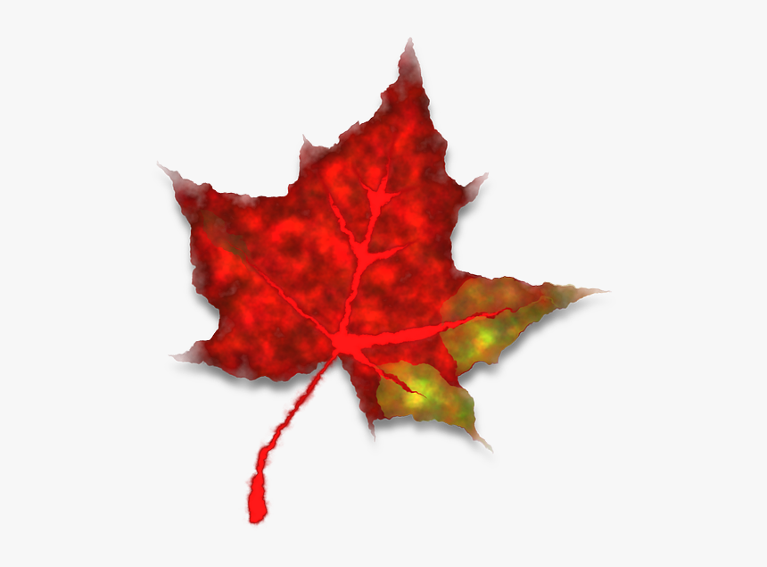 Red Fall Leaves, HD Png Download, Free Download