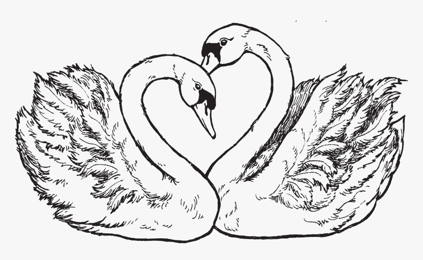 Psx Designs Heart Swans Psx Rubber Stamp - Swan, HD Png Download, Free Download