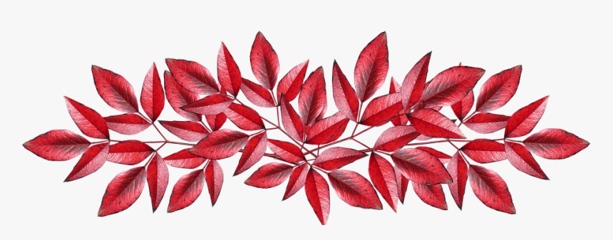 Leaves, Autumn, Fall, Bamboo, Nandina, Cut Out - Transparent Pink Autumn Png, Png Download, Free Download