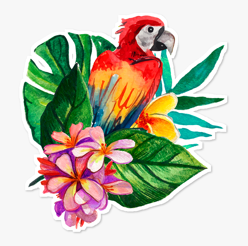 #tropical Guacamaya🌸 - Guacamaya Png, Transparent Png, Free Download