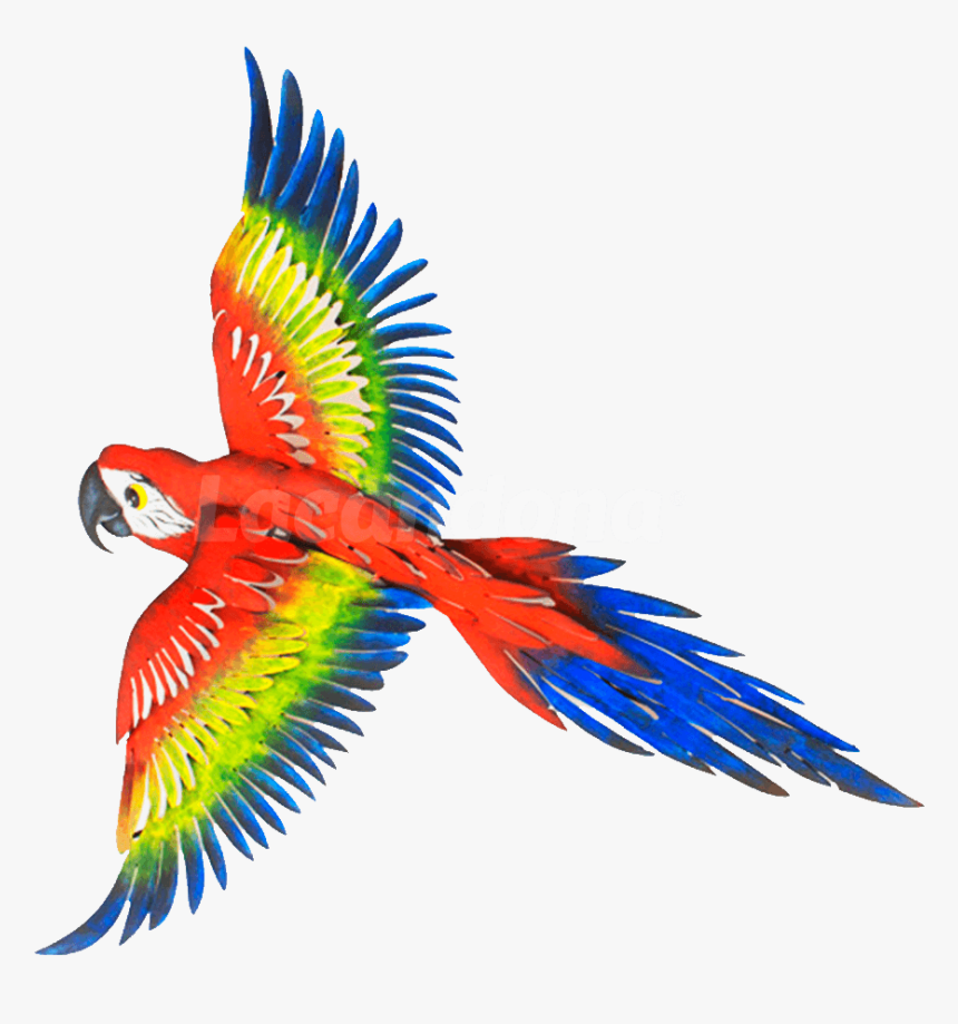 Decorative Traveling Macaw - Macaw, HD Png Download, Free Download