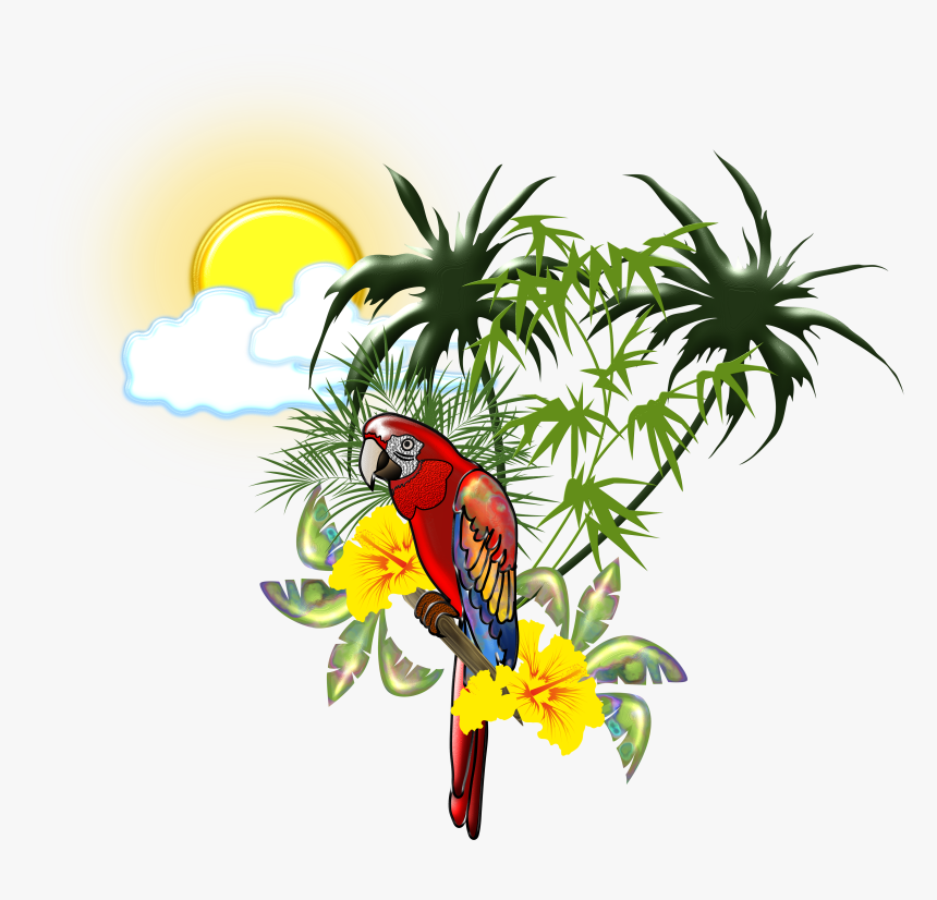 Tropical Guacamaya Hd , Png Download - Guacamaya Tropical, Transparent Png, Free Download