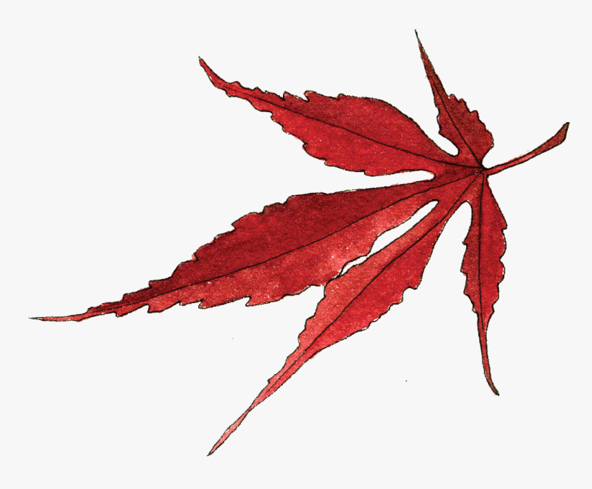 Transparent Red Leaf Png - Watercolor Japanese Maple Leaf, Png Download, Free Download