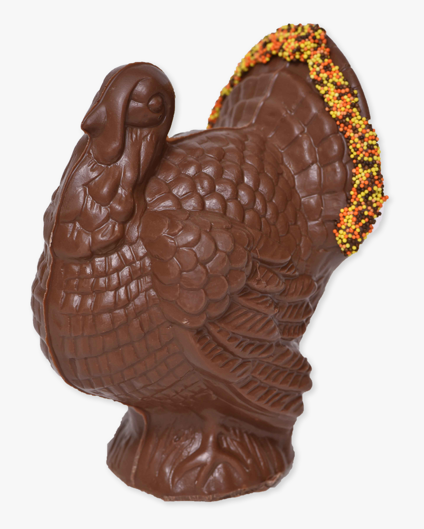 Transparent Turkey Feather Clipart - Chocolate, HD Png Download, Free Download