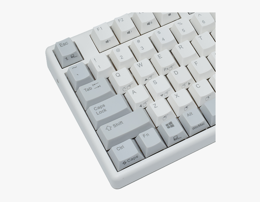 Computer Keyboard, HD Png Download, Free Download