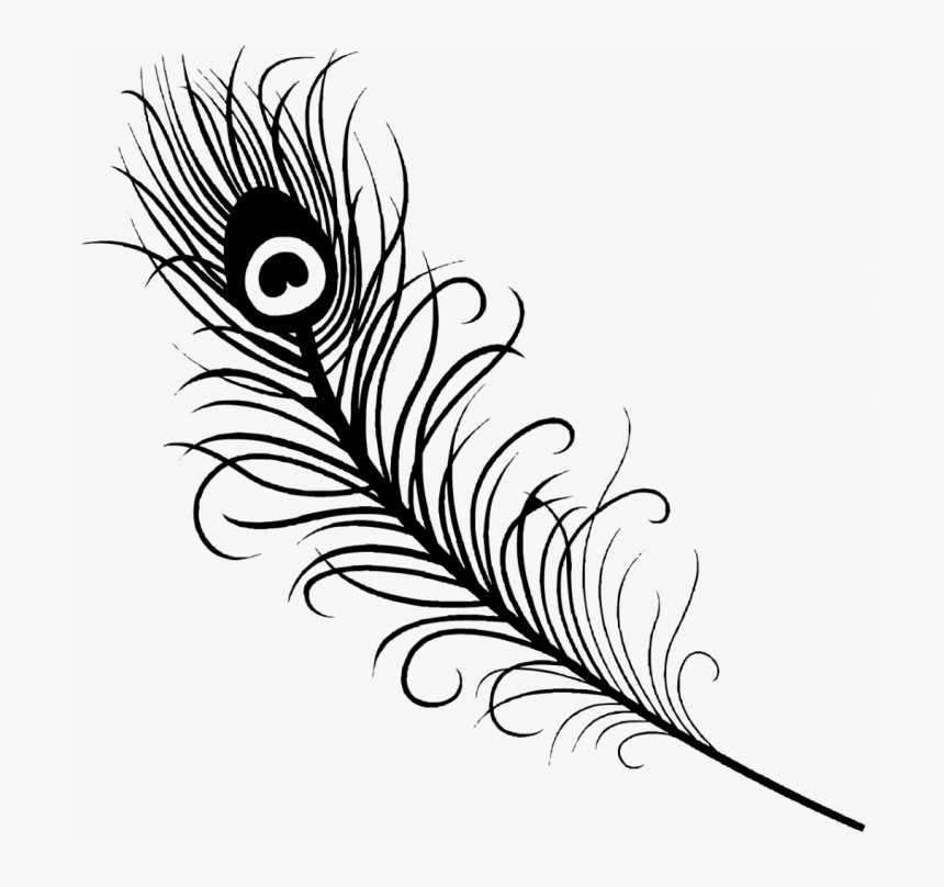 Medium Size Of Coloring Page - Simple Peacock Feather Drawing, HD Png Download, Free Download