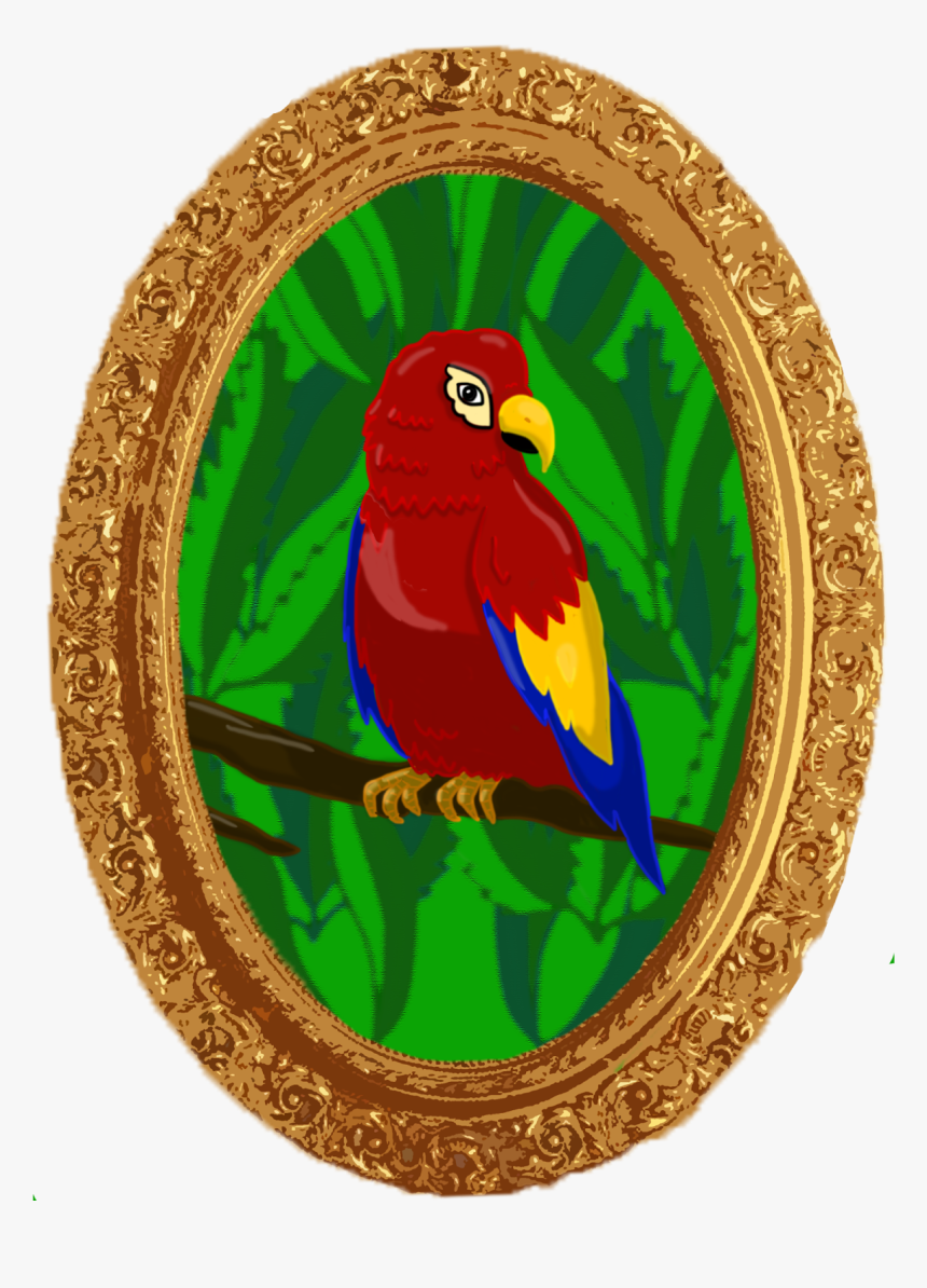 Macaw, HD Png Download, Free Download