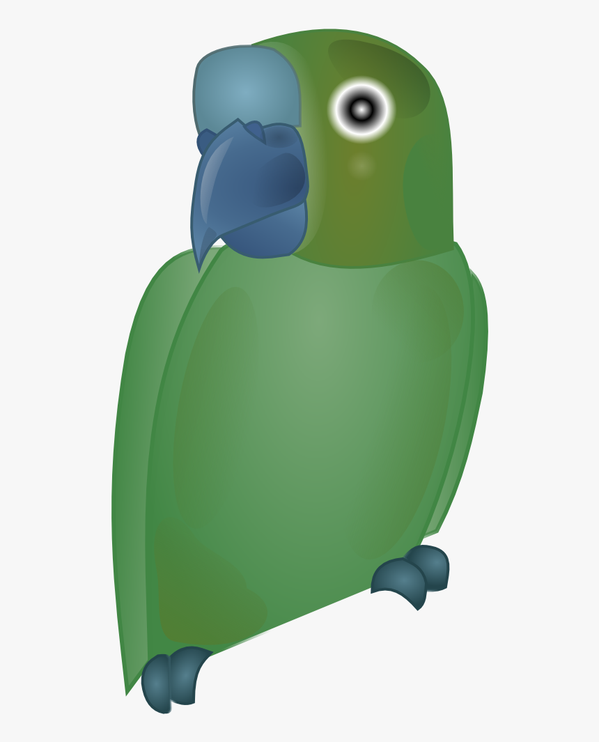 Bird1 - Parrot, HD Png Download, Free Download