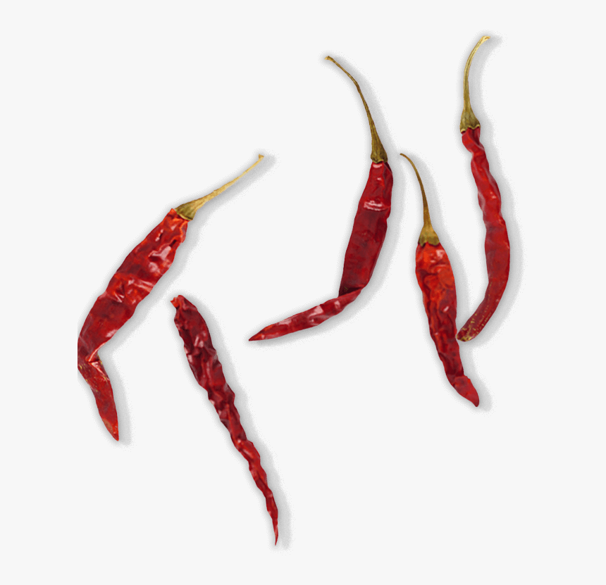 Dried Red Chilli Png , Transparent Cartoons - Dry Red Chili Png, Png Download, Free Download