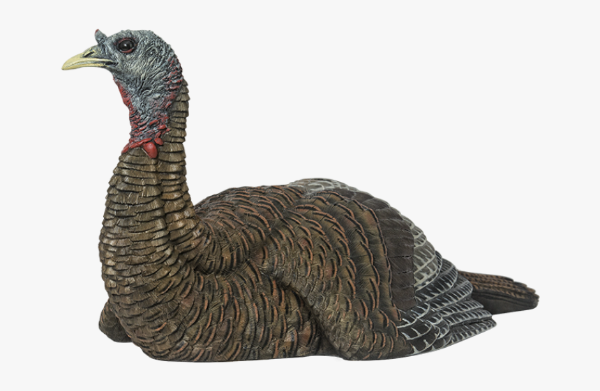 Avian-x Lcd Laydown Hen Turkey Decoy"
 Class= - Avian X Turkey Decoys, HD Png Download, Free Download