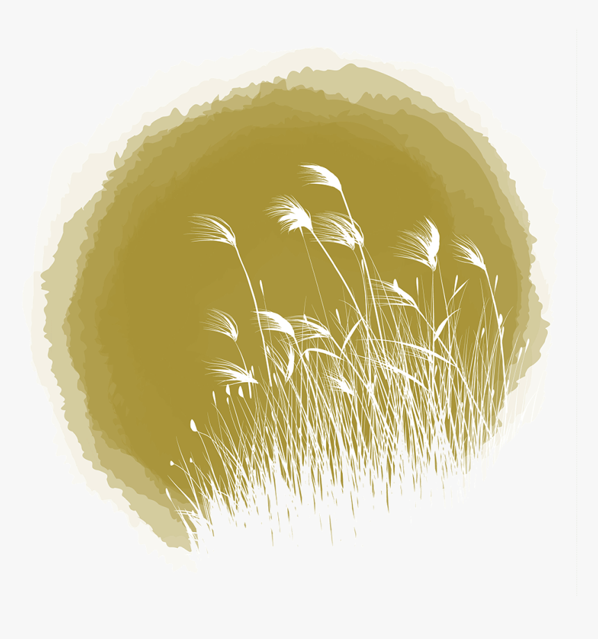 Transparent Feather Reed Grass Png - Ink, Png Download, Free Download