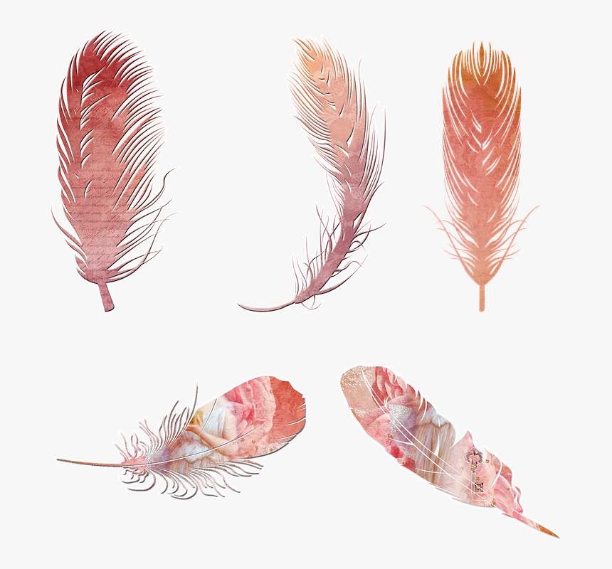 Scrapbooking, Feathers, Elements, Arrow, Bohemian - Pink Boho Feather Clipart, HD Png Download, Free Download