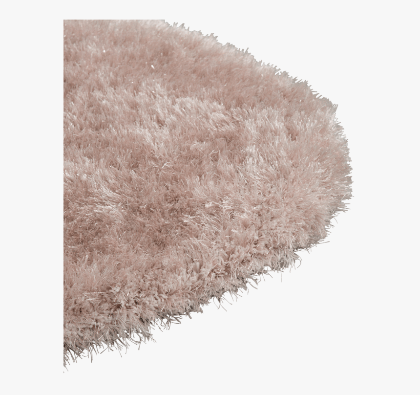 Transparent Feather Reed Grass Png - Carpet, Png Download, Free Download