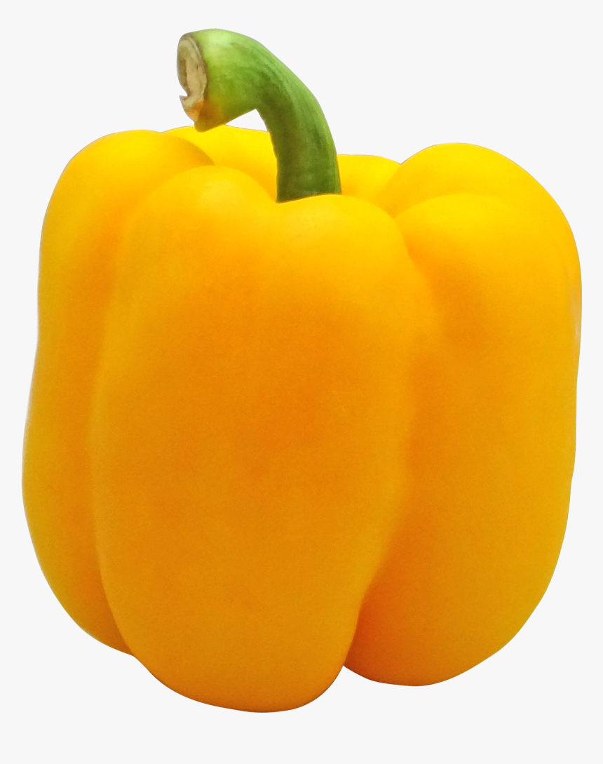 Pepper, Yellow, Bell, Holland, Vegetable, Png - Yellow Bell Pepper Png, Transparent Png, Free Download