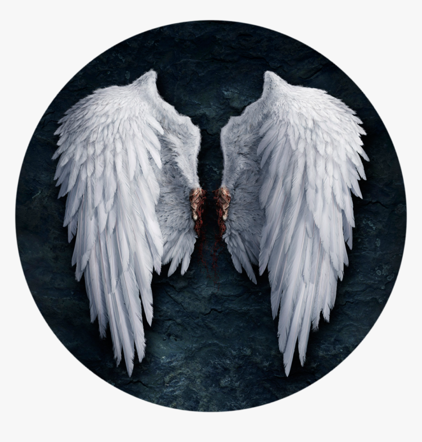 Realistic White Angel Wings, HD Png Download, Free Download
