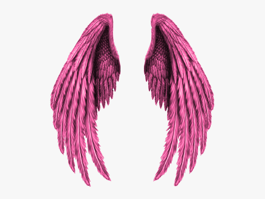 #wings #pink #freedom #freetoedit - Realistic Angel Wings Drawing, HD Png Download, Free Download