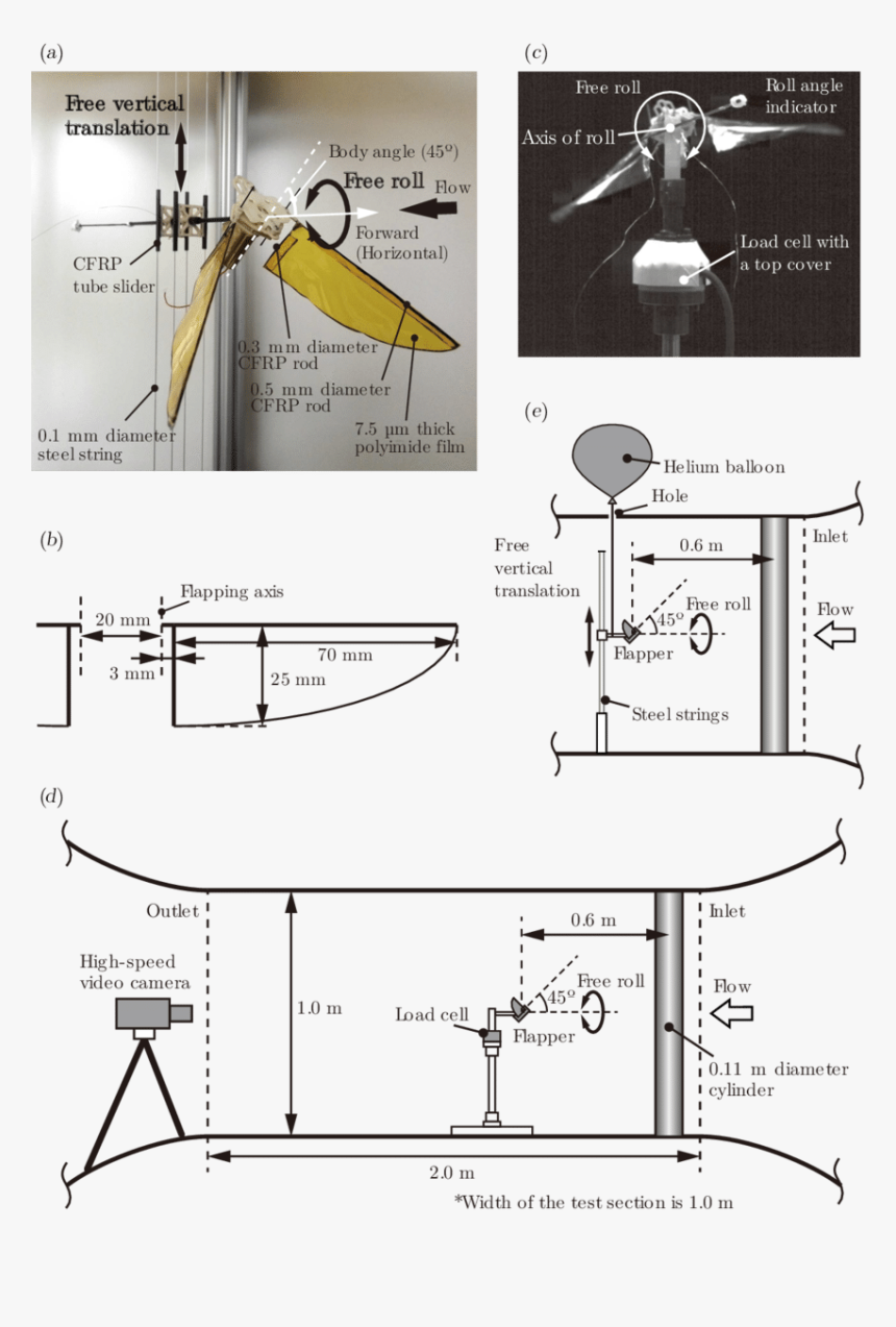 Diagram, HD Png Download, Free Download