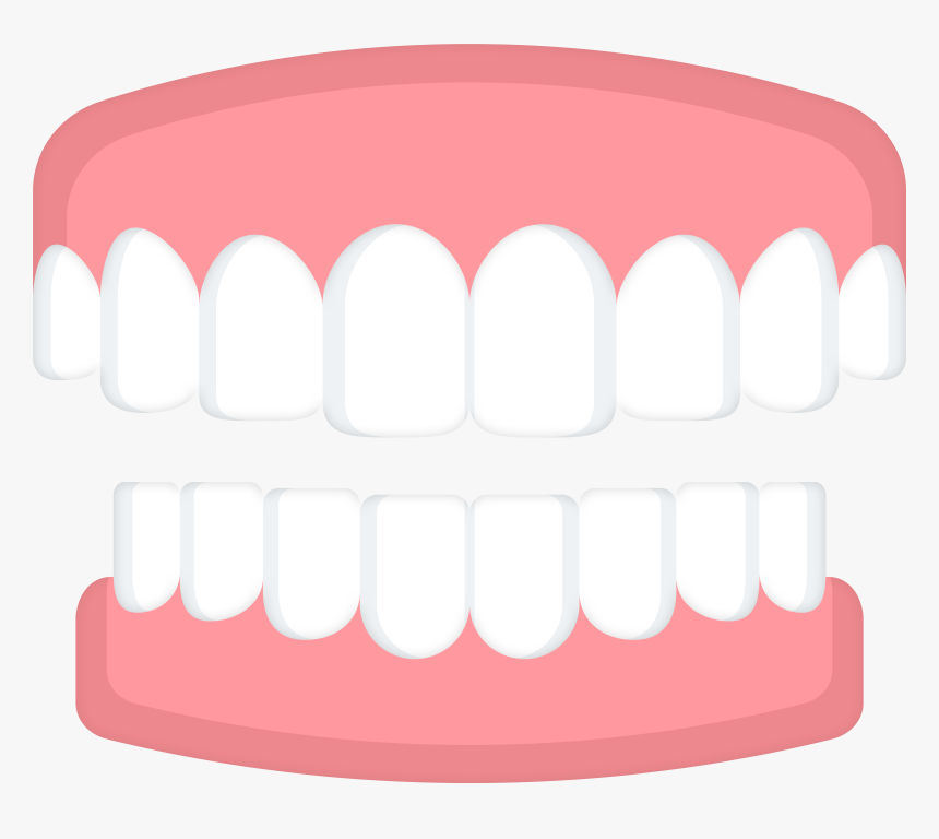 Human Tooth Product Dentures Health, HD Png Download, Free Download