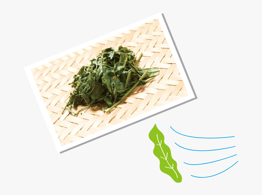 Water Spinach, HD Png Download, Free Download