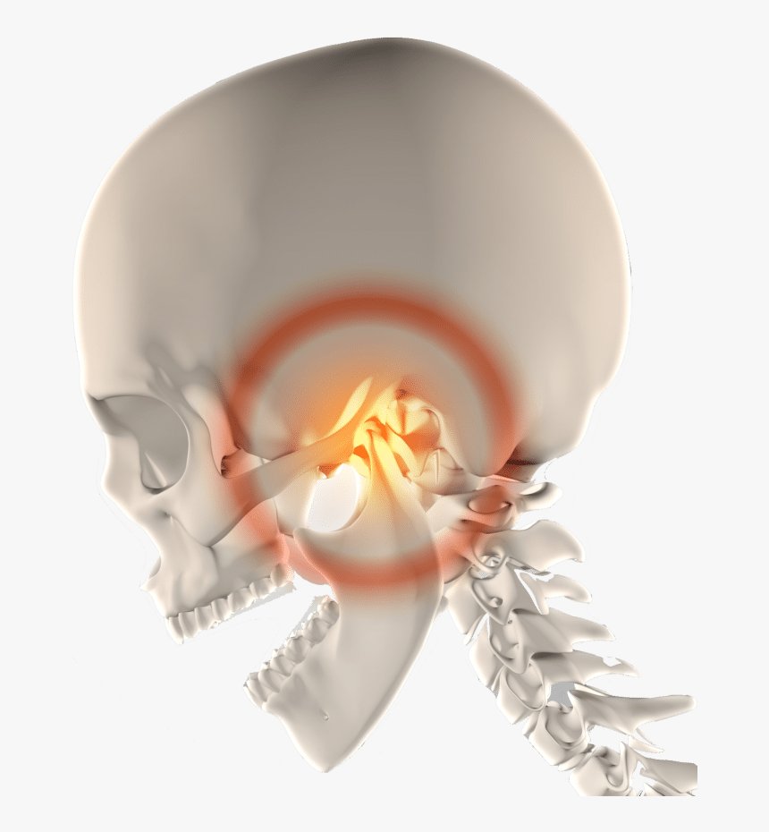 Temporomandibular Joint, HD Png Download, Free Download