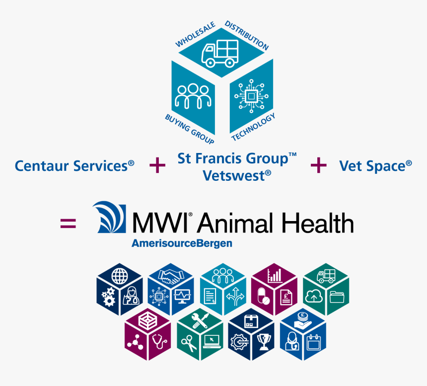 Centaur Services Plus St Francis Group Plus Vetswest - Graphic Design, HD Png Download, Free Download