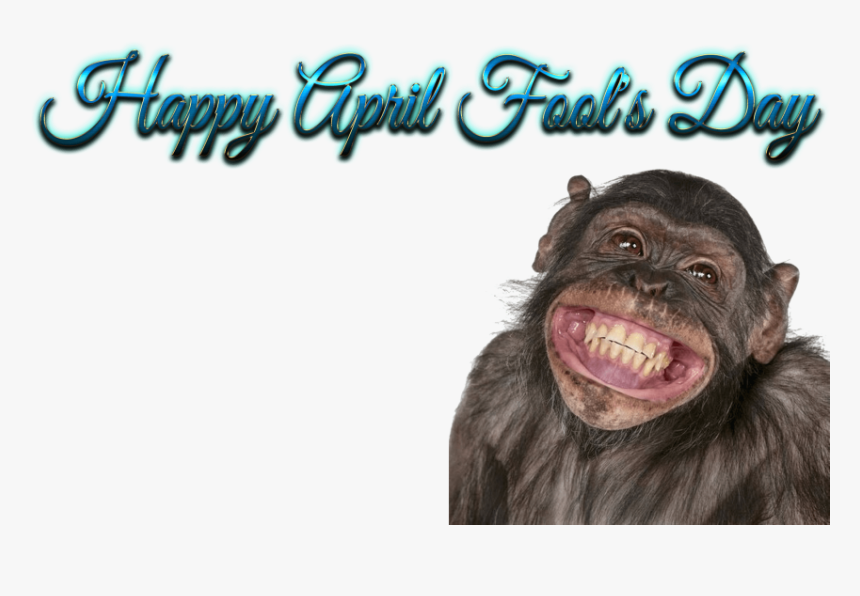 Free Png Download Happy Birthday Funny Smile Png Images - Birthday Wishes With Monkey, Transparent Png, Free Download