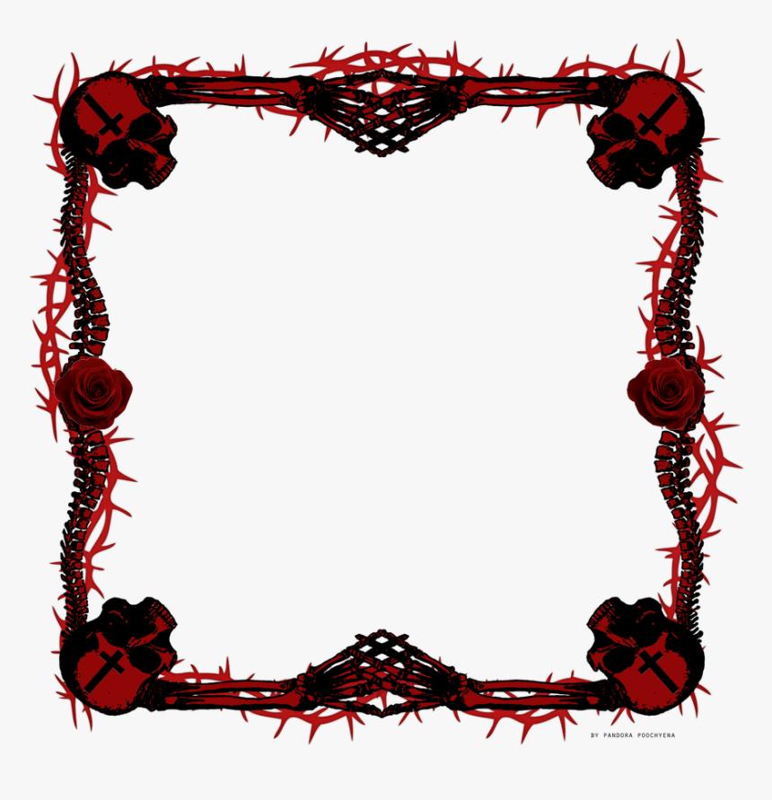 Skull Frame Png, Transparent Png, Free Download