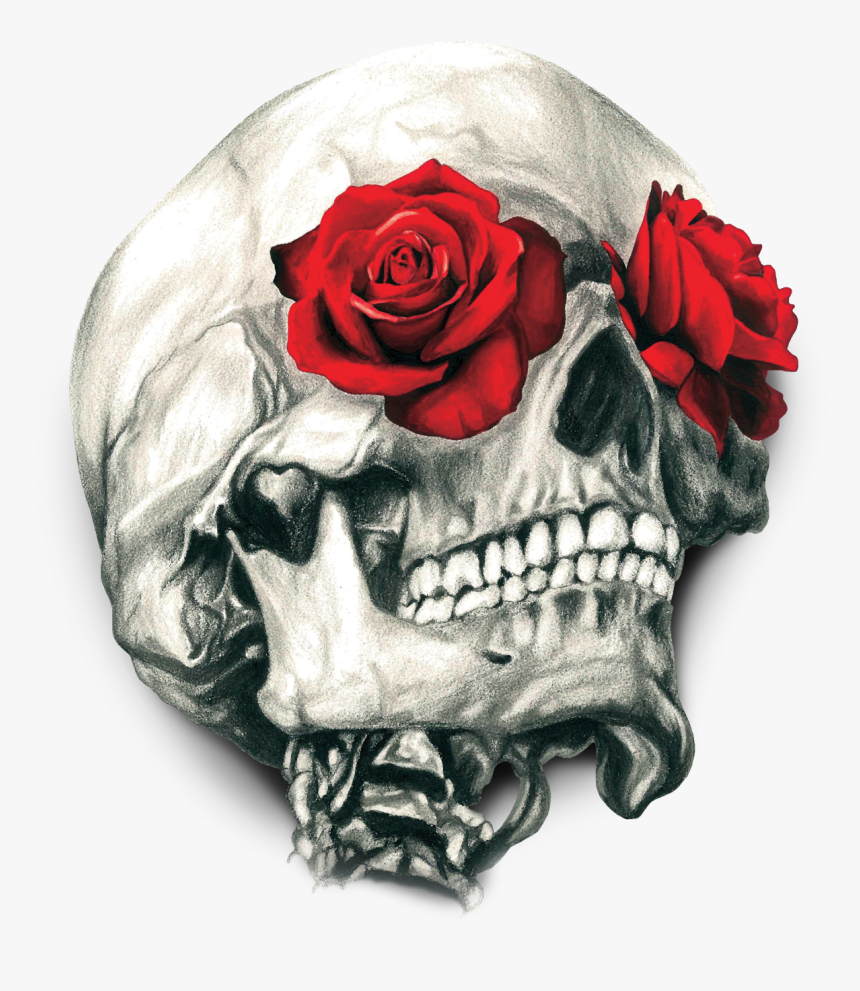 Skull Calavera T-shirt Human Rose Symbolism Clipart - Skull With Roses Png, Transparent Png, Free Download