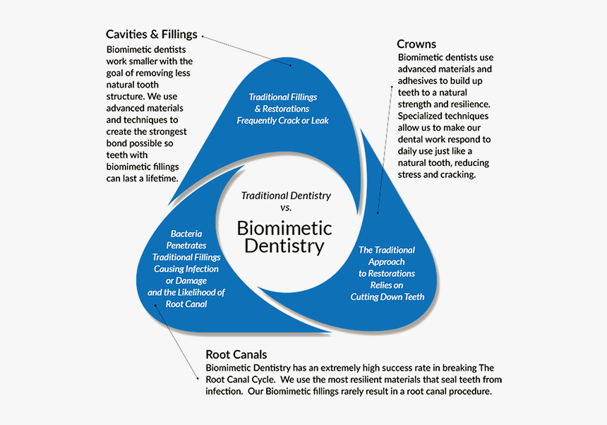 Biomimetic Dentistry - Biomimetic Dental, HD Png Download, Free Download
