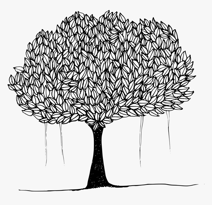 This Free Icons Png Design Of Tree With Leaves - Tree With Leaves Clipart Black And White, Transparent Png, Free Download