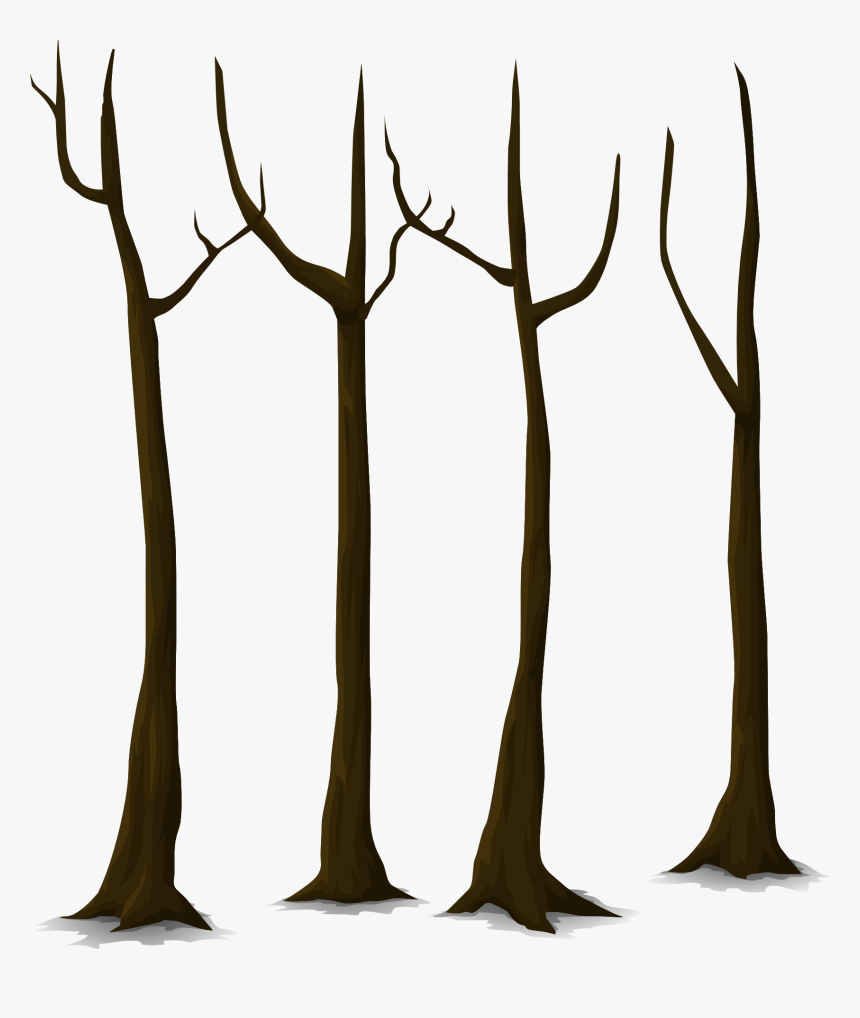 Trees Without Leaves Clipart, HD Png Download, Free Download