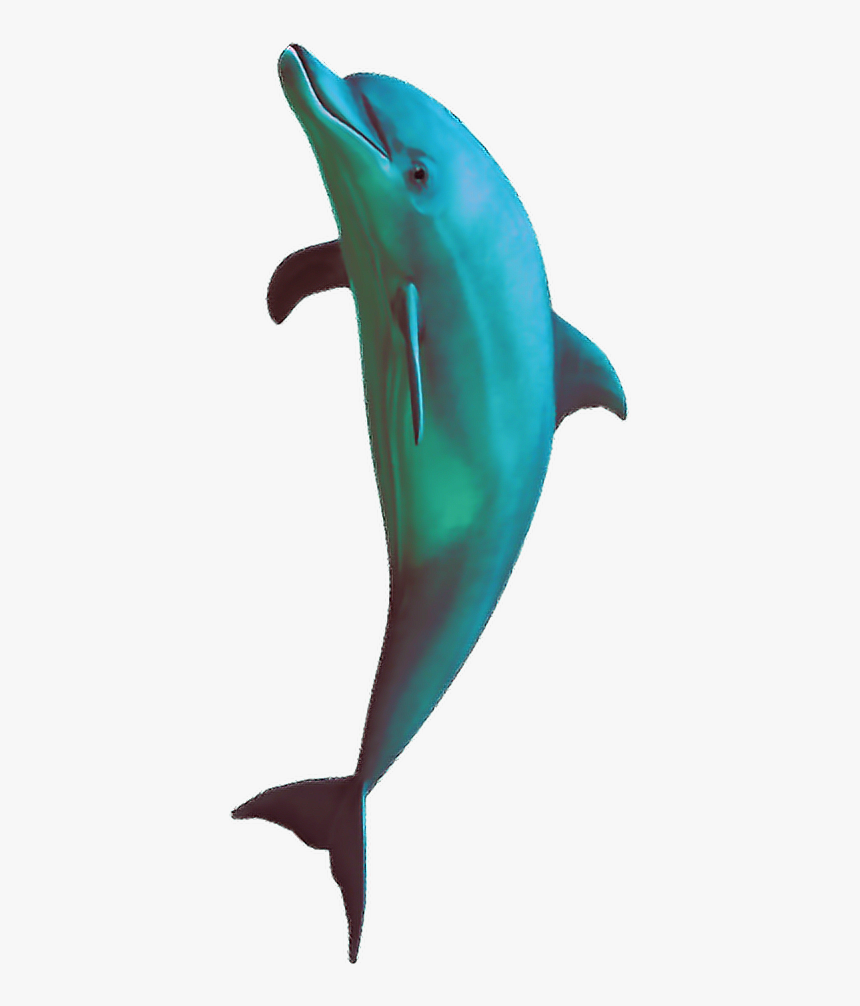 #vaporwave #aesthetic #aesthetics #dolphin #freetoedit - Vapor Wave Aesthetic Dolphins, HD Png Download, Free Download