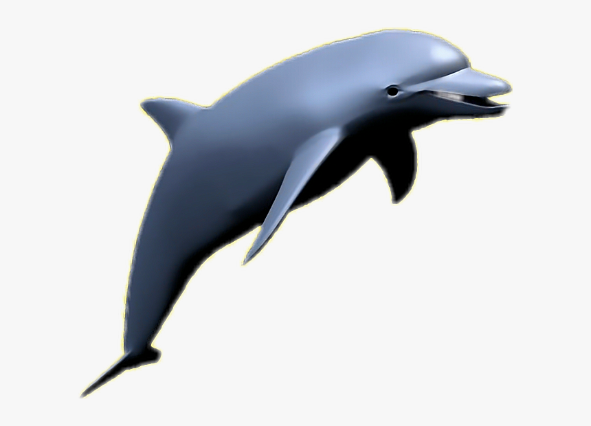 Transparent Vaporwave Dolphin Png - Aesthetic Transparent Dolphin Png, Png Download, Free Download