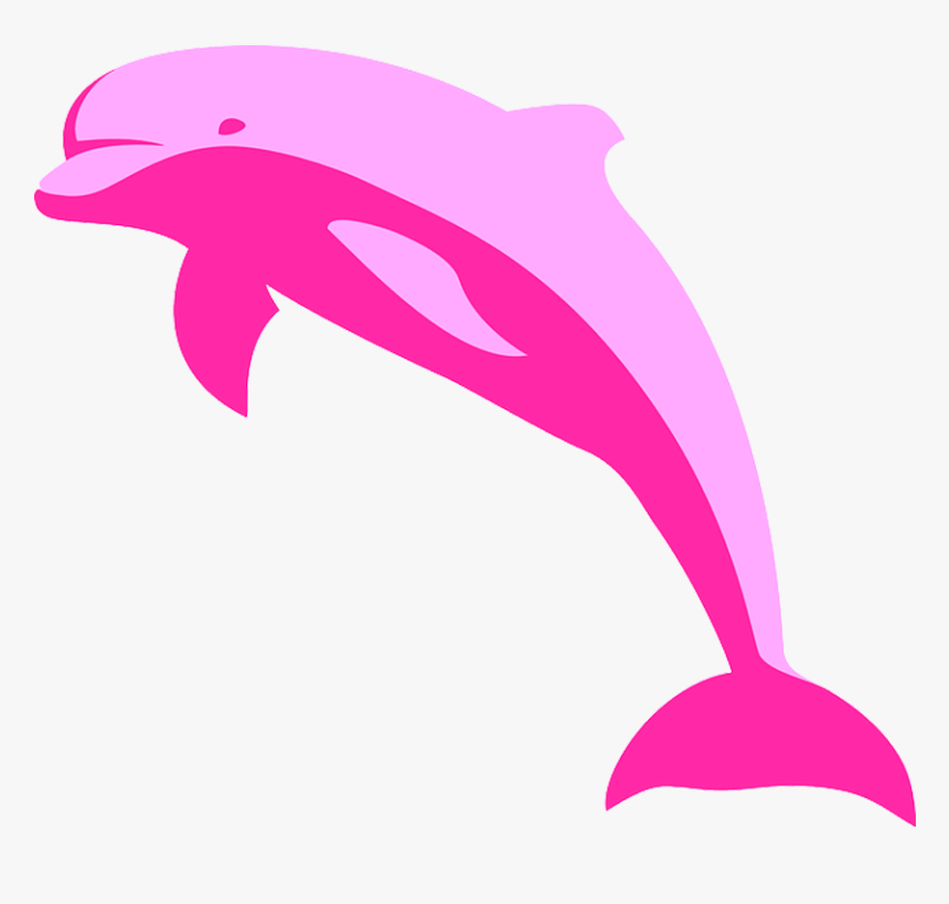 Amazon River Dolphin Porpoise Tucuxi - Pink Dolphin Clipart, HD Png Download, Free Download