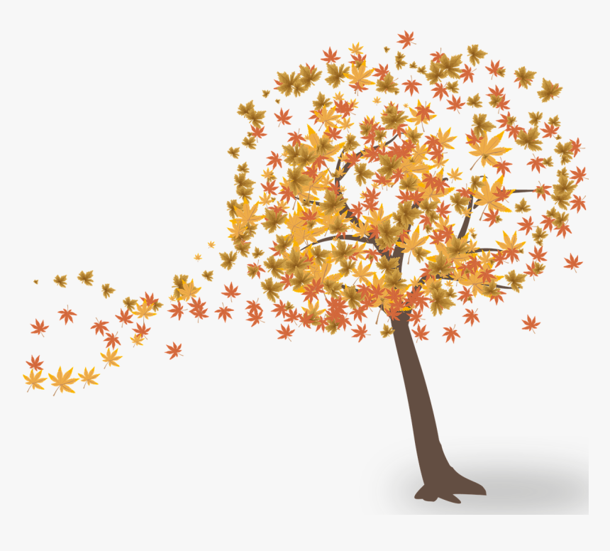 Autumn Tree Transparent Png Free, Png Download, Free Download