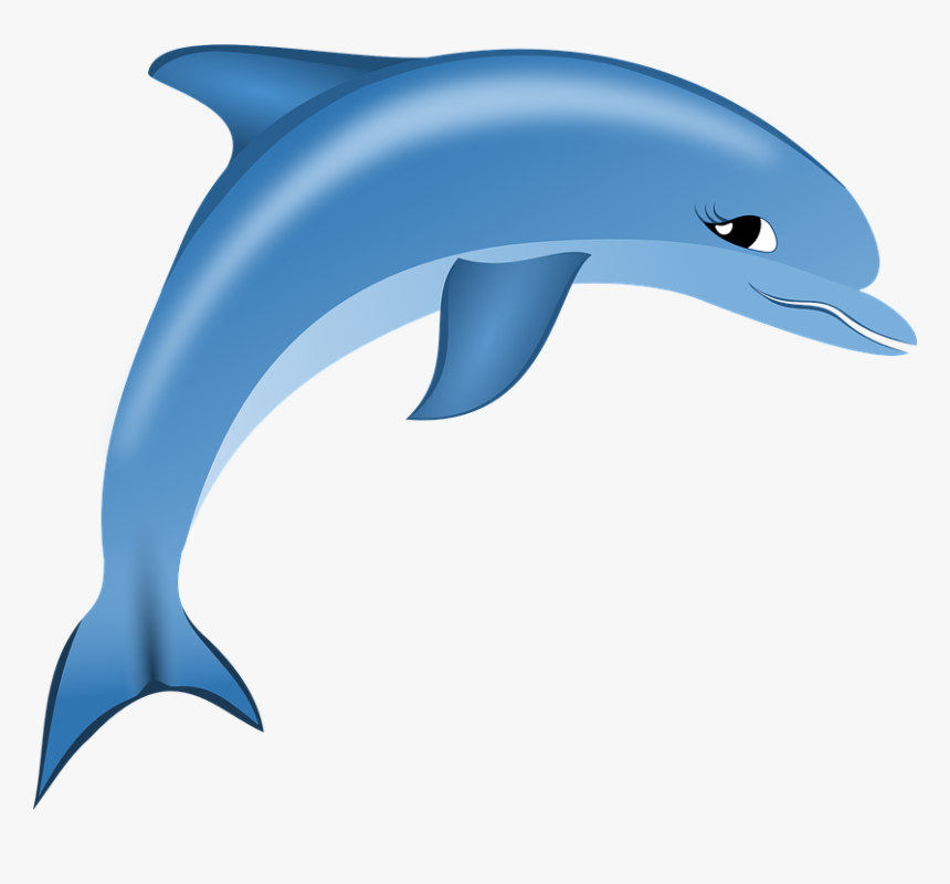 Dolphin,bottlenose Dolphin,short Beaked Common Dolphin,common - Dolphin Logo Png, Transparent Png, Free Download