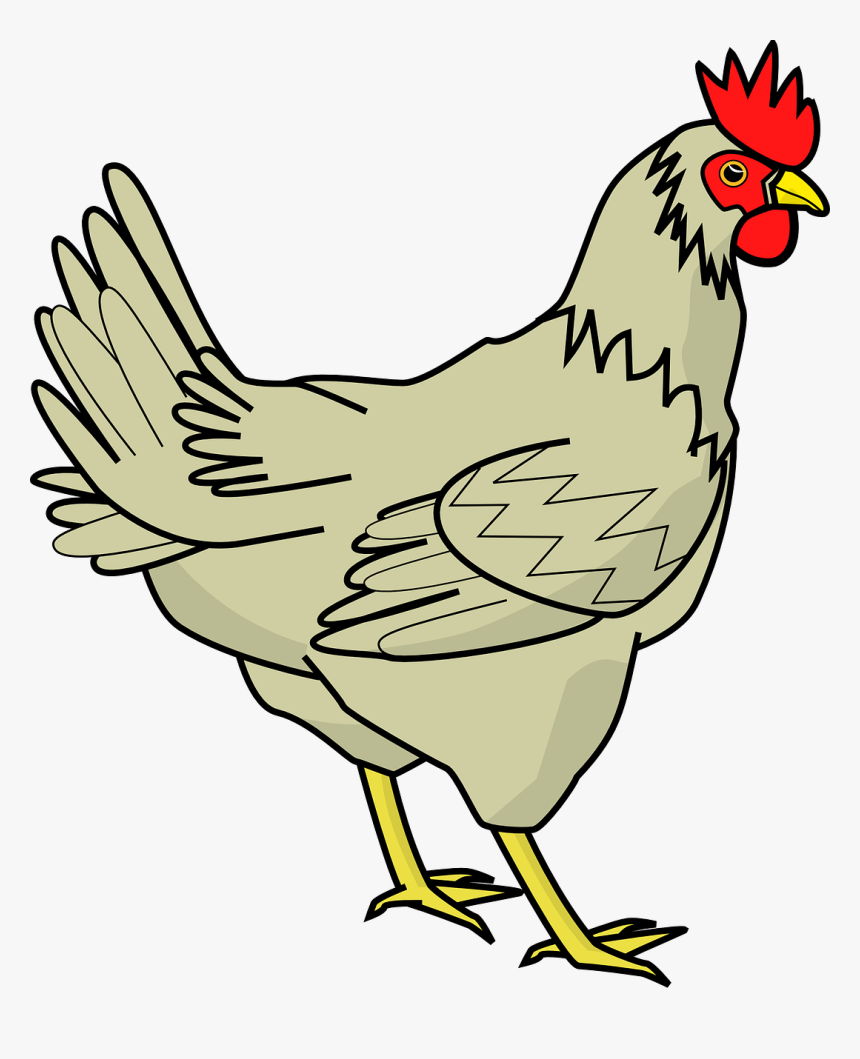 Chicken Clipart - Chicken Cliparts, HD Png Download, Free Download
