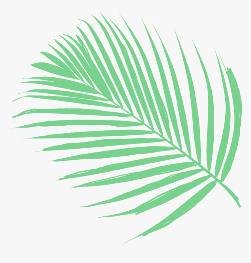 Vaporwave Plants, HD Png Download, Free Download