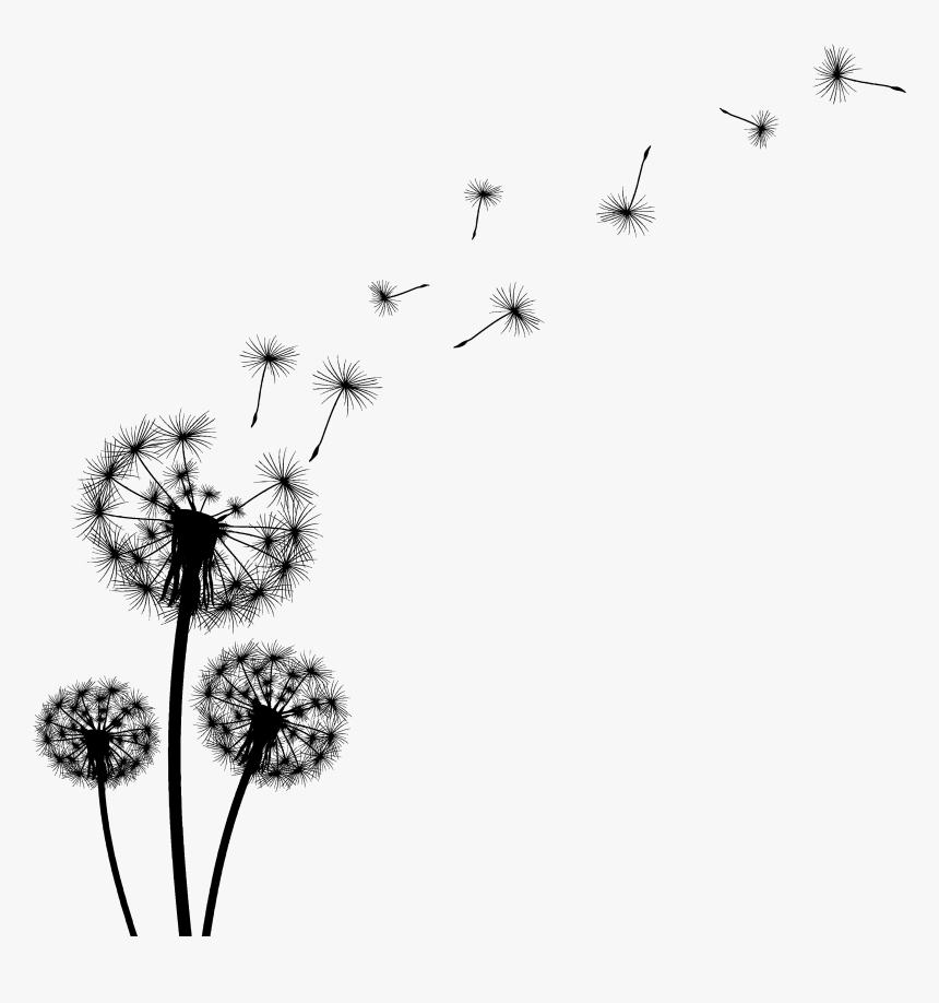 Dandelion Clipart Dead - Dandelion Seed Clip Art, HD Png Download, Free Download